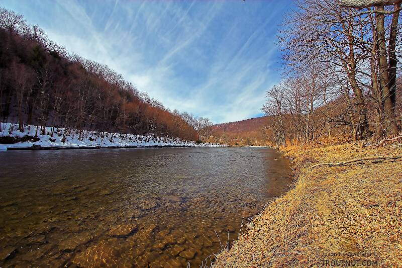 This is Cairn's Pool on the Beaverkill, possibly the most famous pool in all of trout fishing.

From the Beaverkill River in New York