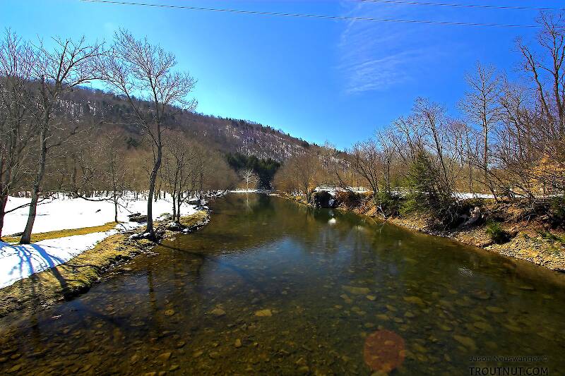 I love how clear the water can be in the Catskills when it hasn't rained for a little while.  A polarizing filter (or sunglasses!) helps, too.

From Willowemoc Creek in New York