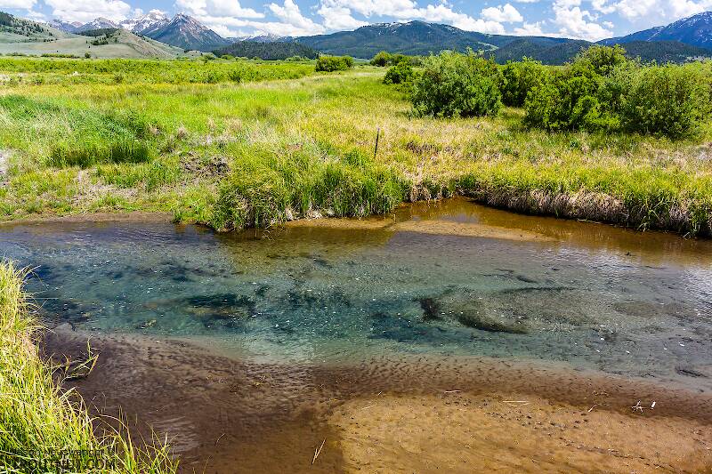 Mystery Creek # 244 in Montana
