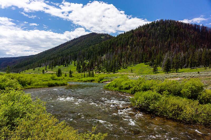 The Gallatin River in Montana