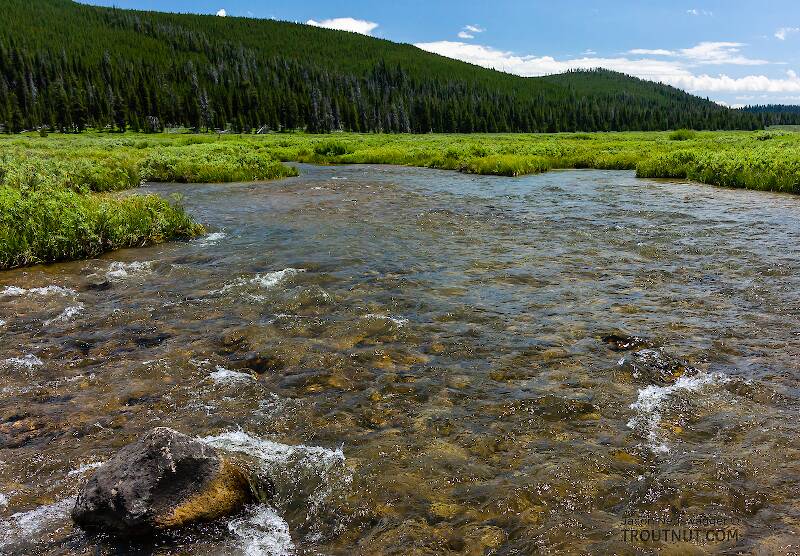 The Gallatin River in Montana