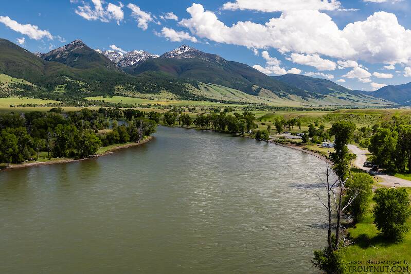 Yellowstone River above Mallard's Rest in Paradise Valley

From the Yellowstone River in Montana