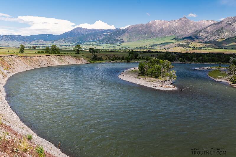 Yellowstone River above Mallard's Rest in Paradise Valley

From the Yellowstone River in Montana