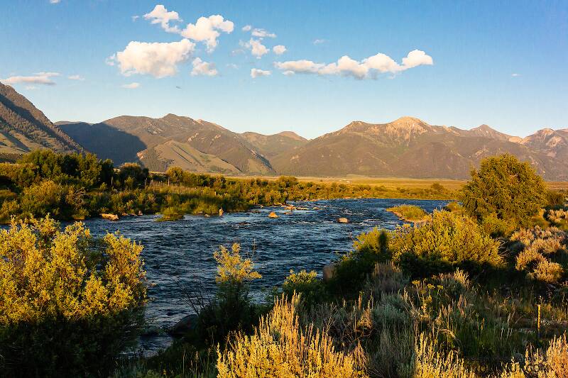 View upstream from near Three Dollar Bridge on the Madison.

From the Madison River in Montana