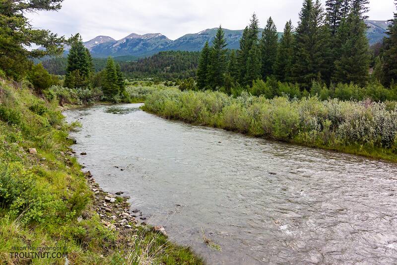 The Ruby River in Montana
