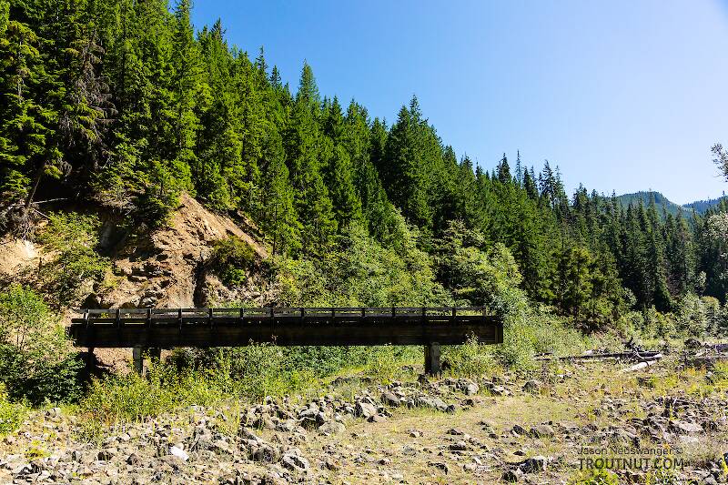 There used to be a well-maintained road running up this creek. Now, not so much.

From Mystery Creek # 249 in Washington
