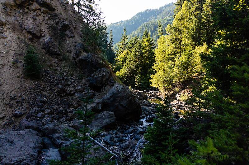 Upper end of the canyon, leading to a longer, low-gradient, gravelly stretch.

From Mystery Creek # 249 in Washington