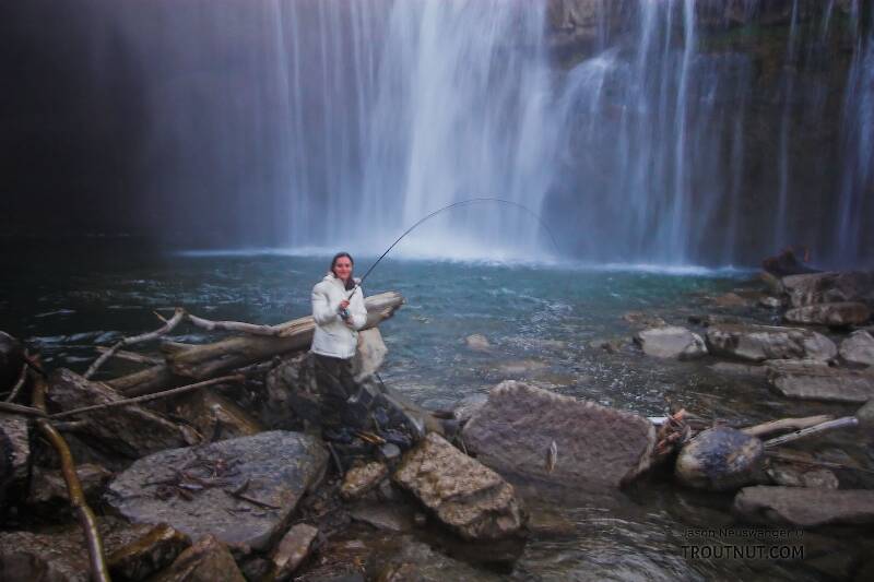 My girlfriend holds her first trout up.  The photo's blurry because the lens is covered with mist from the waterfall.

From Salmon Creek, Ludlowville Falls in New York