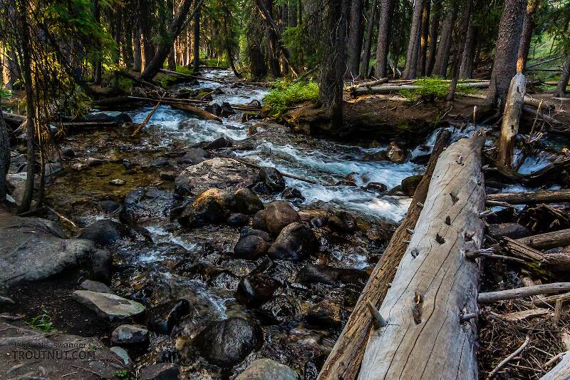 Mystery Creek # 256 in Idaho