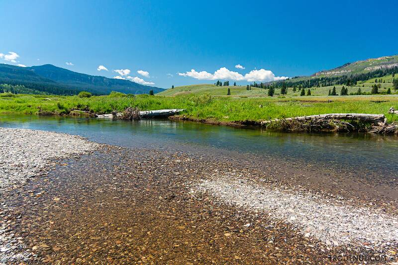 Slough Creek in Wyoming