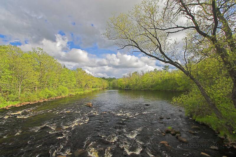 The West Fork of the Chippewa River in Wisconsin