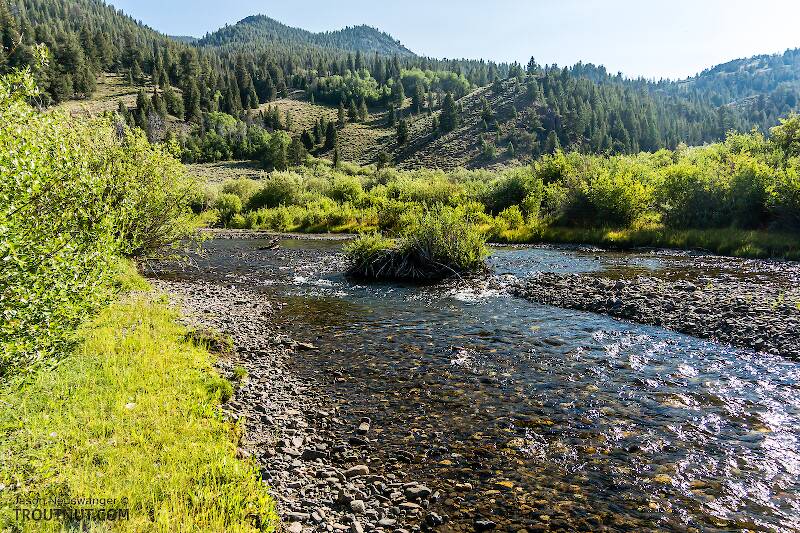 The North Fork Big Lost River in Idaho