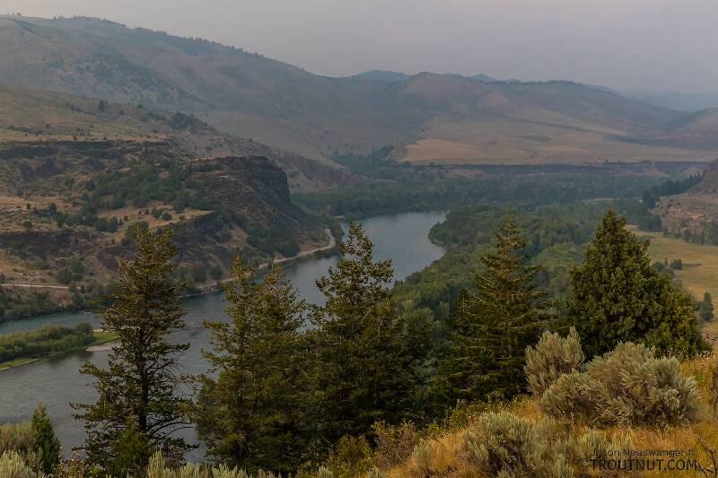 Snake River from the Clark Hill Rest Area on highway 26. Smoke from distant California wildfires was clouding eastern ID / west WY a couple weeks before this year's coast-wide smoke catastrophe.

From the Snake River in Idaho