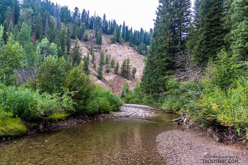 Pilgrim Creek in Wyoming