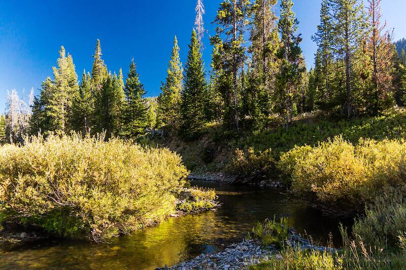LaBarge Creek

From LaBarge Creek in Wyoming