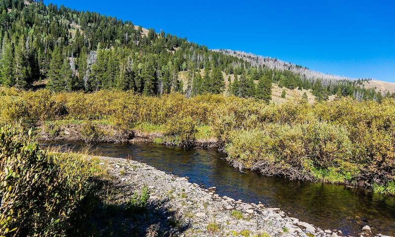 LaBarge Creek in Wyoming