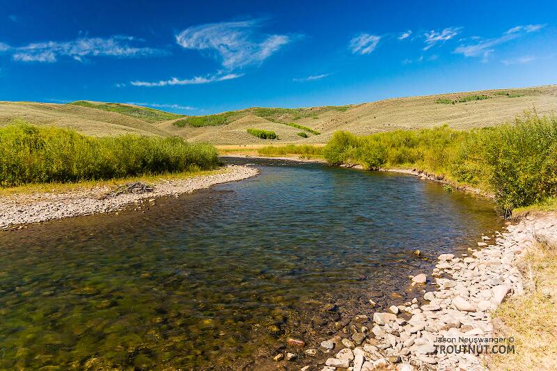 The Mystery Creek # 274 in Wyoming
