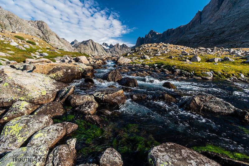 Outlet stream of Upper Titcomb Lake

From Titcomb Basin in Wyoming