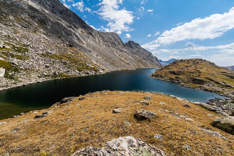 Mistake Lake

From Titcomb Basin in Wyoming
