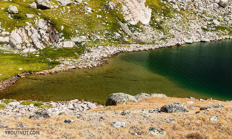 Flat at one end of Mistake Lake

From Titcomb Basin in Wyoming