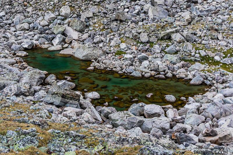 Pretty little tarn in the talus

From Titcomb Basin in Wyoming