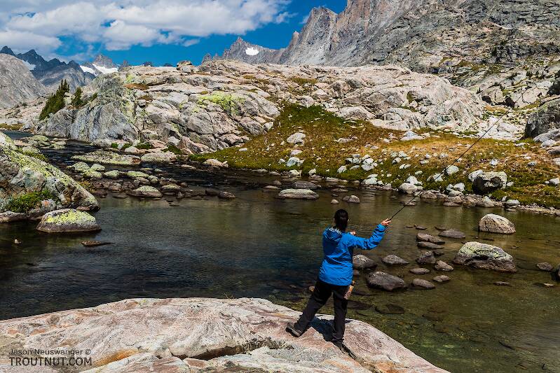Casting in the Titcomb Basin outlet stream

From Titcomb Basin in Wyoming
