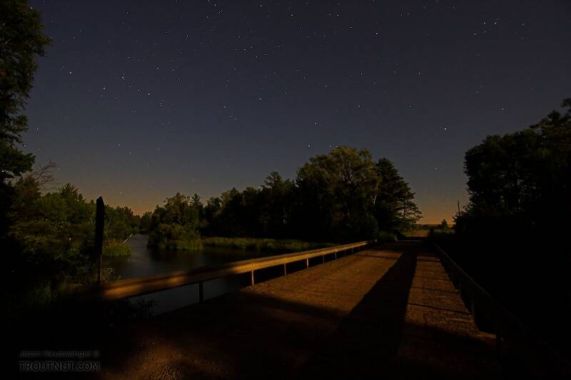 The moon lights a bridge under the stars near midnight over a nice trout river.