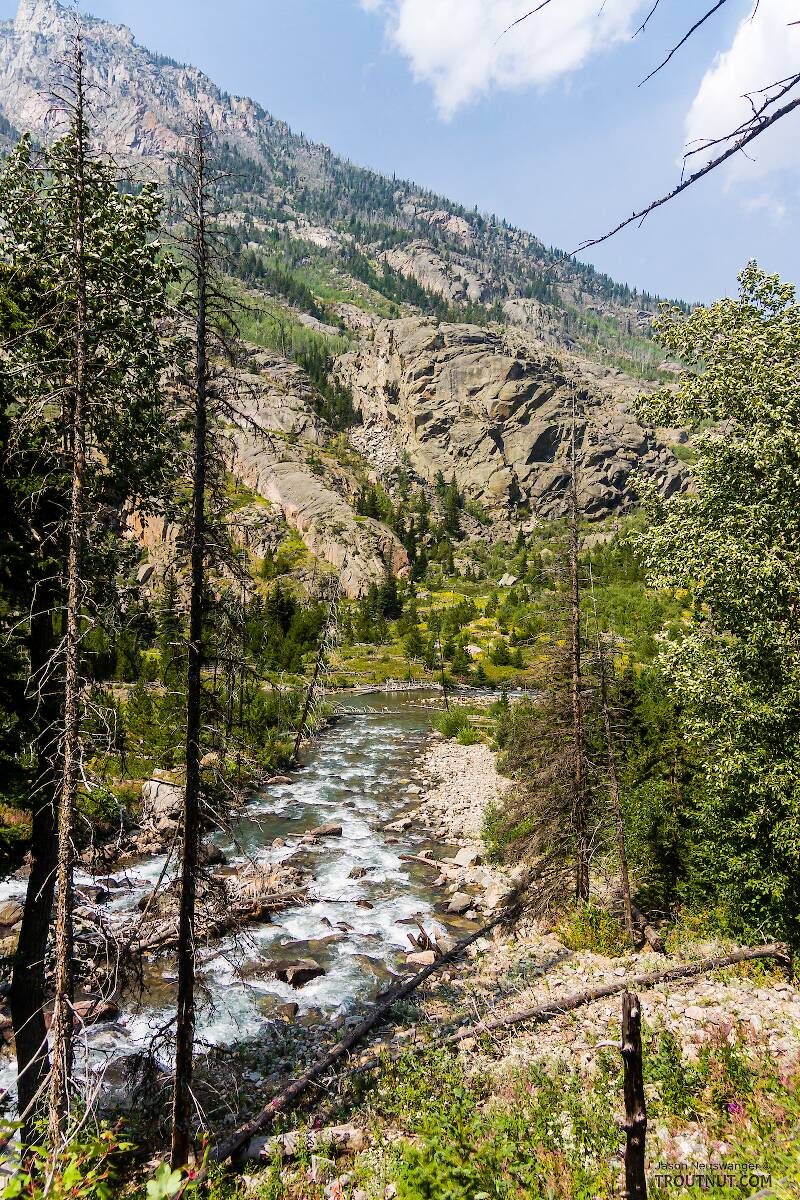 Mystery Creek # 227 in Montana