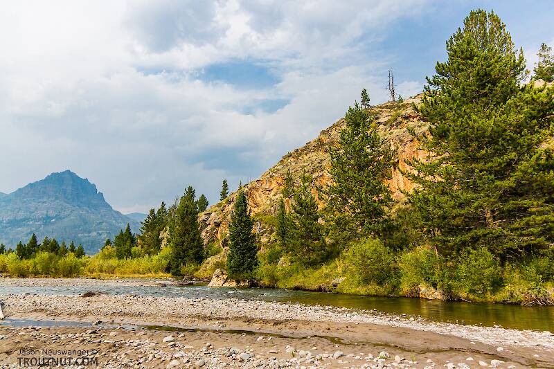 The Mystery Creek # 294 in Wyoming