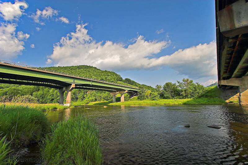 The East Branch of the Delaware River in New York