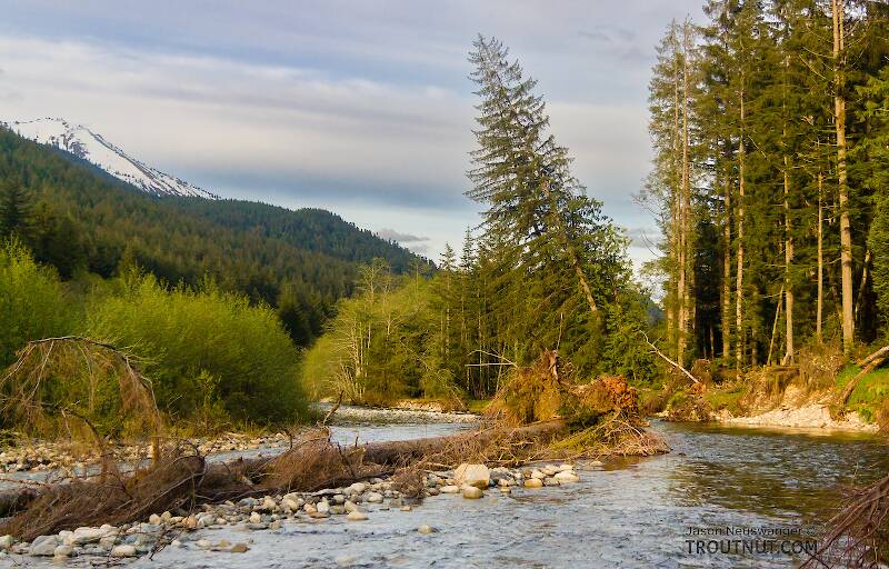The South Fork Snoqualmie River in Washington