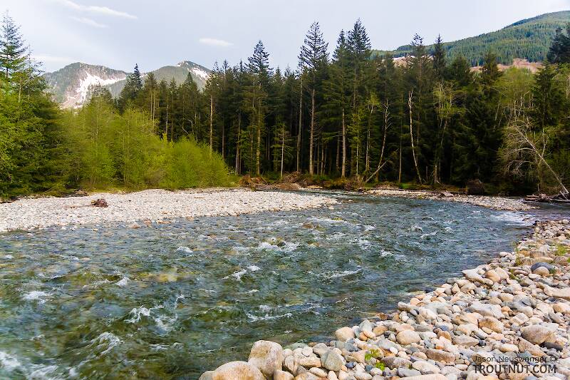 The South Fork Snoqualmie River in Washington