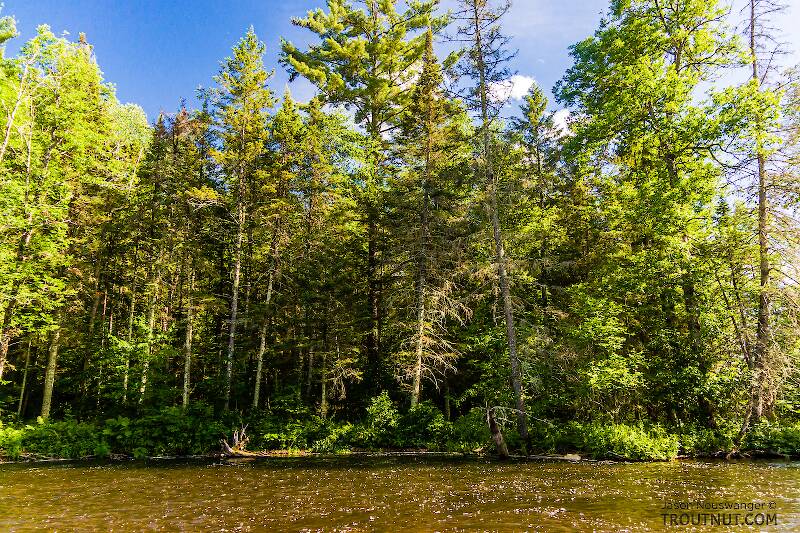 The Namekagon River in Wisconsin