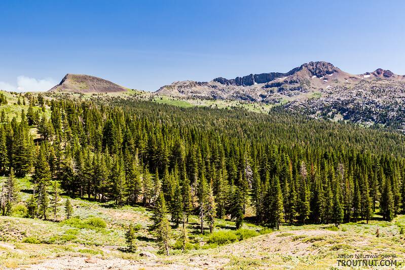 Carson Pass from the trail to the Little Truckee

From the Upper Truckee River in California