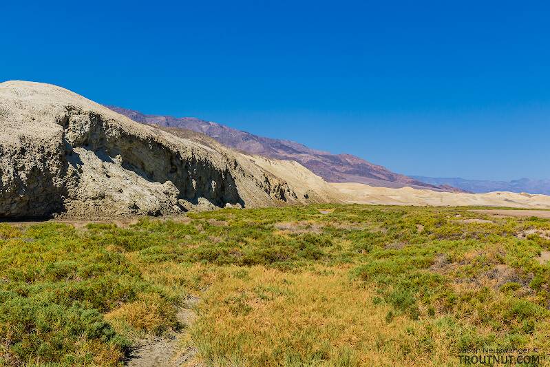 Salt Creek valley

From Death Valley in California