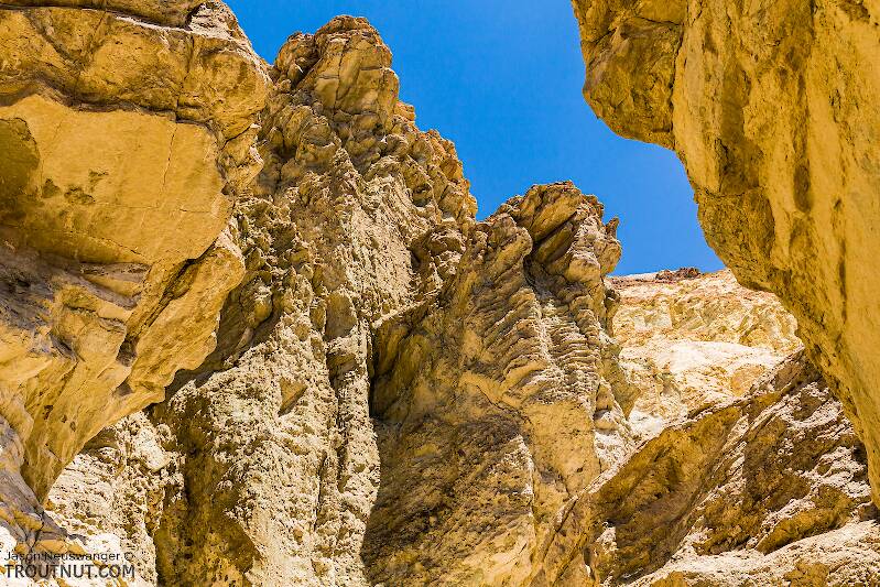 Looking up in Golden Canyon

From Death Valley in California
