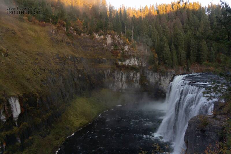 Mesa Falls

From the Henry&#039;s Fork of the Snake River in Idaho