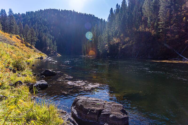 The Henry&#039;s Fork of the Snake River in Idaho