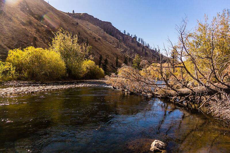 The South Fork Boise River in Idaho