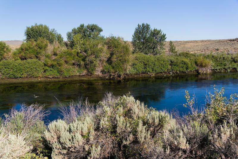 The Mystery Creek # 304 in Idaho