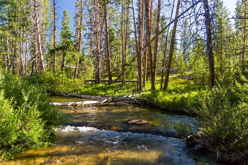 Mystery Creek # 256 in Idaho