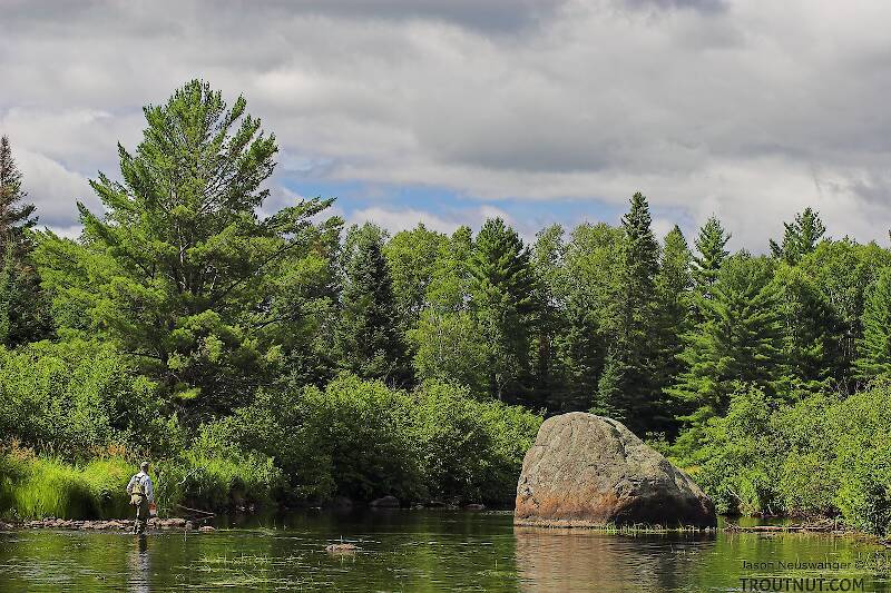 My dad works his way through the shallows of a smallmouth river.  The hole around the large boulder might shelter bass in normal water, but we floated this stretch during a prolonged drought and the fish had left the shallows.

From the West Fork of the Chippewa River in Wisconsin
