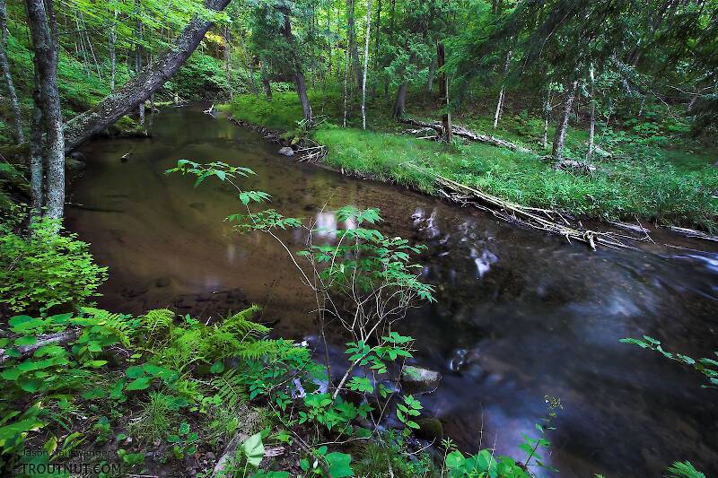 This is one of my favorite small-stream pools.