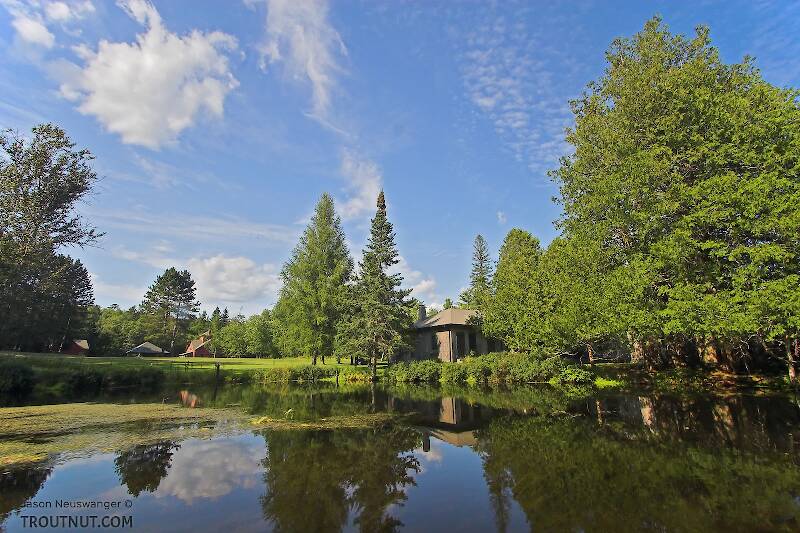 This incredibly expensive estate holds most of the land on a prime upper stretch of one of the midwest's best trout streams, and it's the envy of hundreds of anglers who float by it every summer.