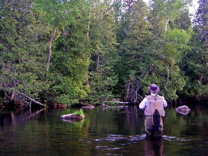 I strike at a hit in an inviting piece of dry fly water.