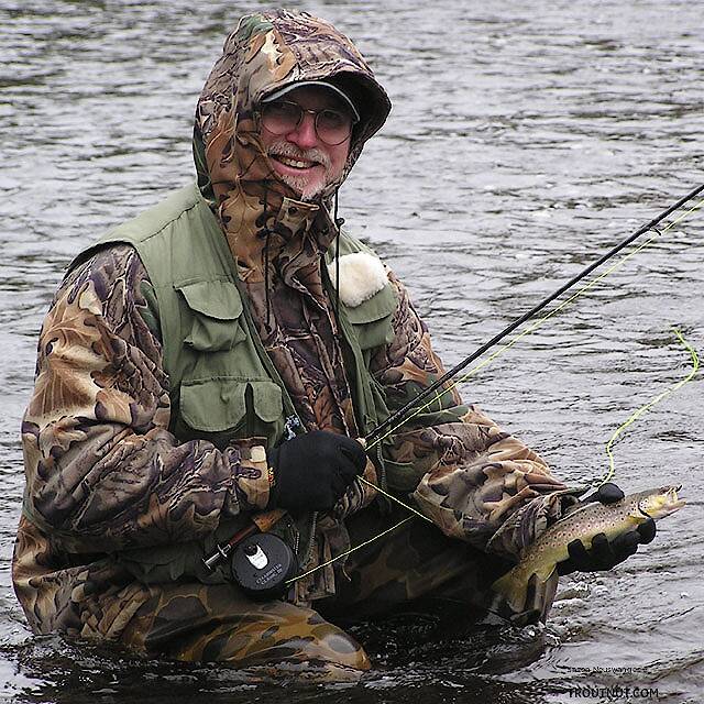 This is my dad's first brown trout on the fly, an 11 incher.