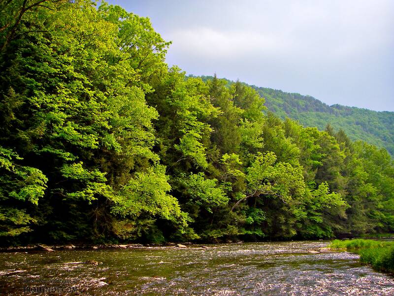 Penn&#039;s Creek in Pennsylvania