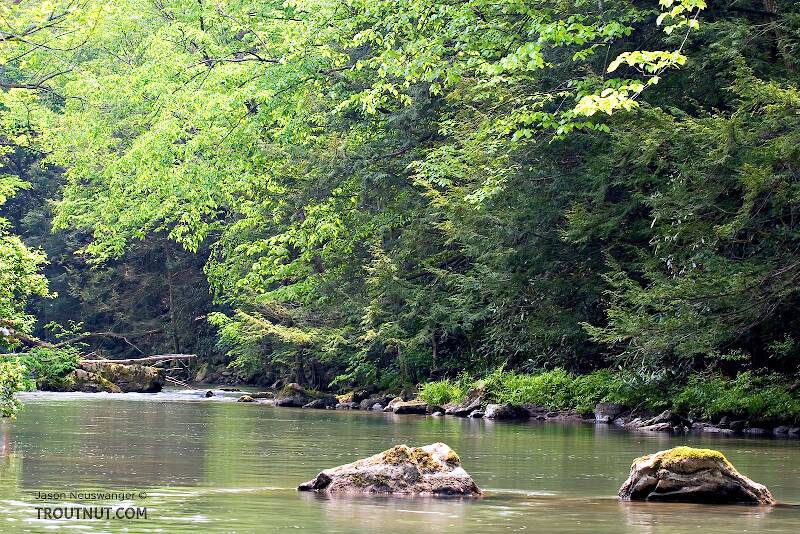 Fishing Creek in Pennsylvania