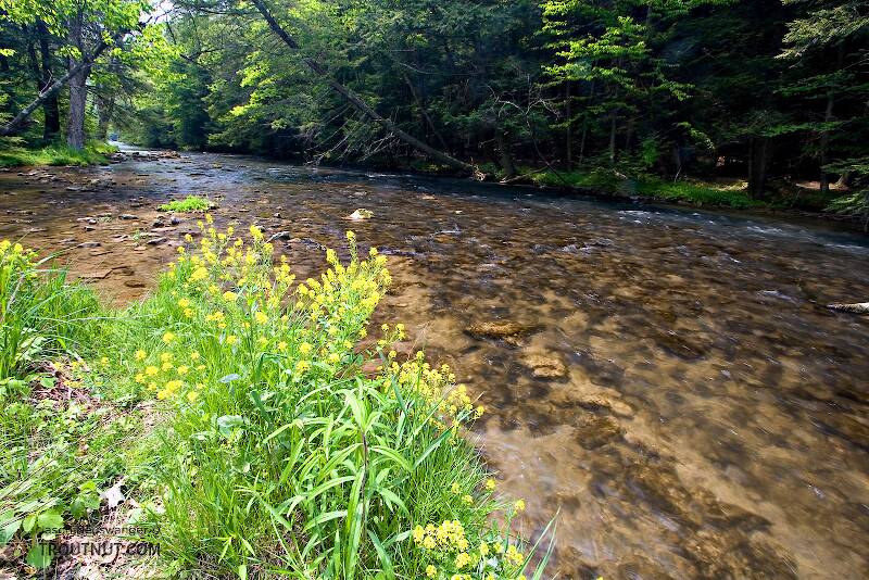 Fishing Creek in Pennsylvania