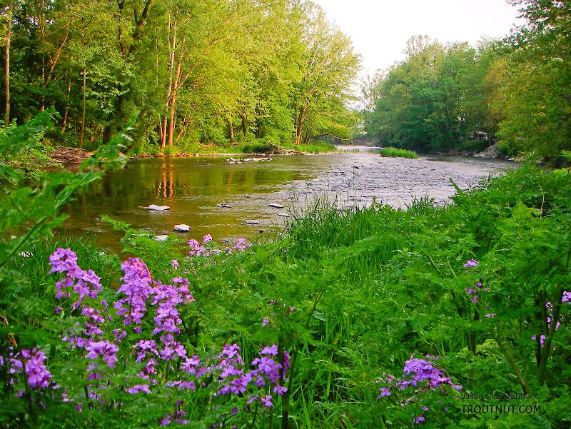 The Little Juniata River in Pennsylvania